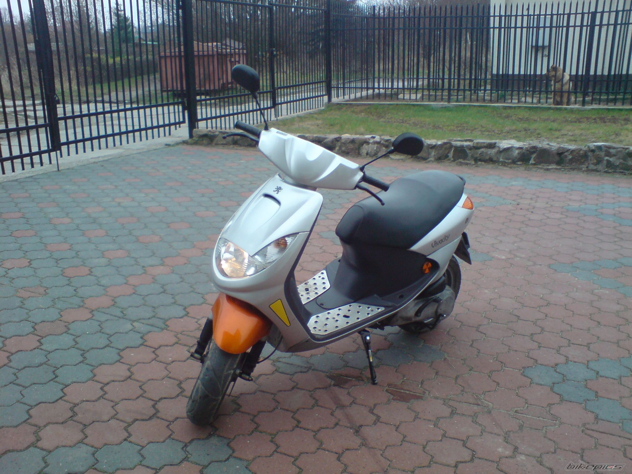 Photo 1824321