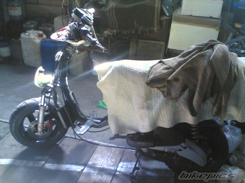Photo 1824349