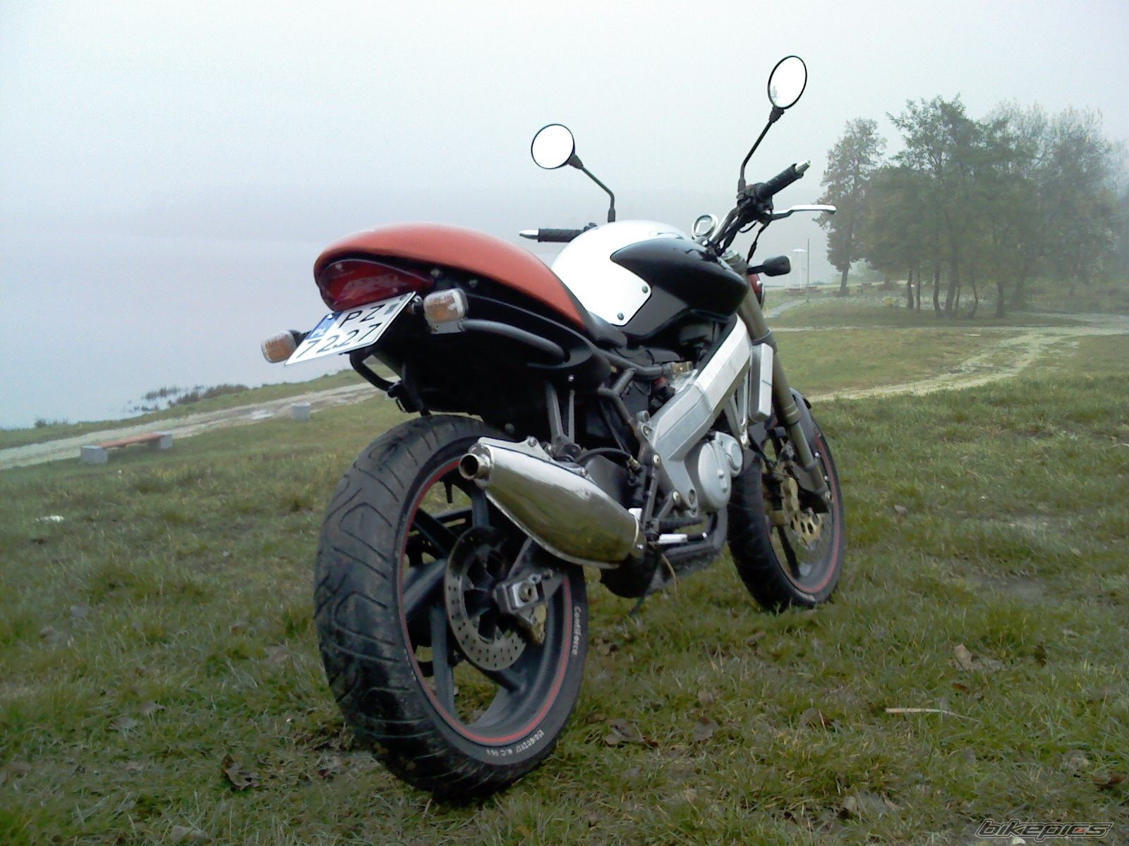 Photo 1824385