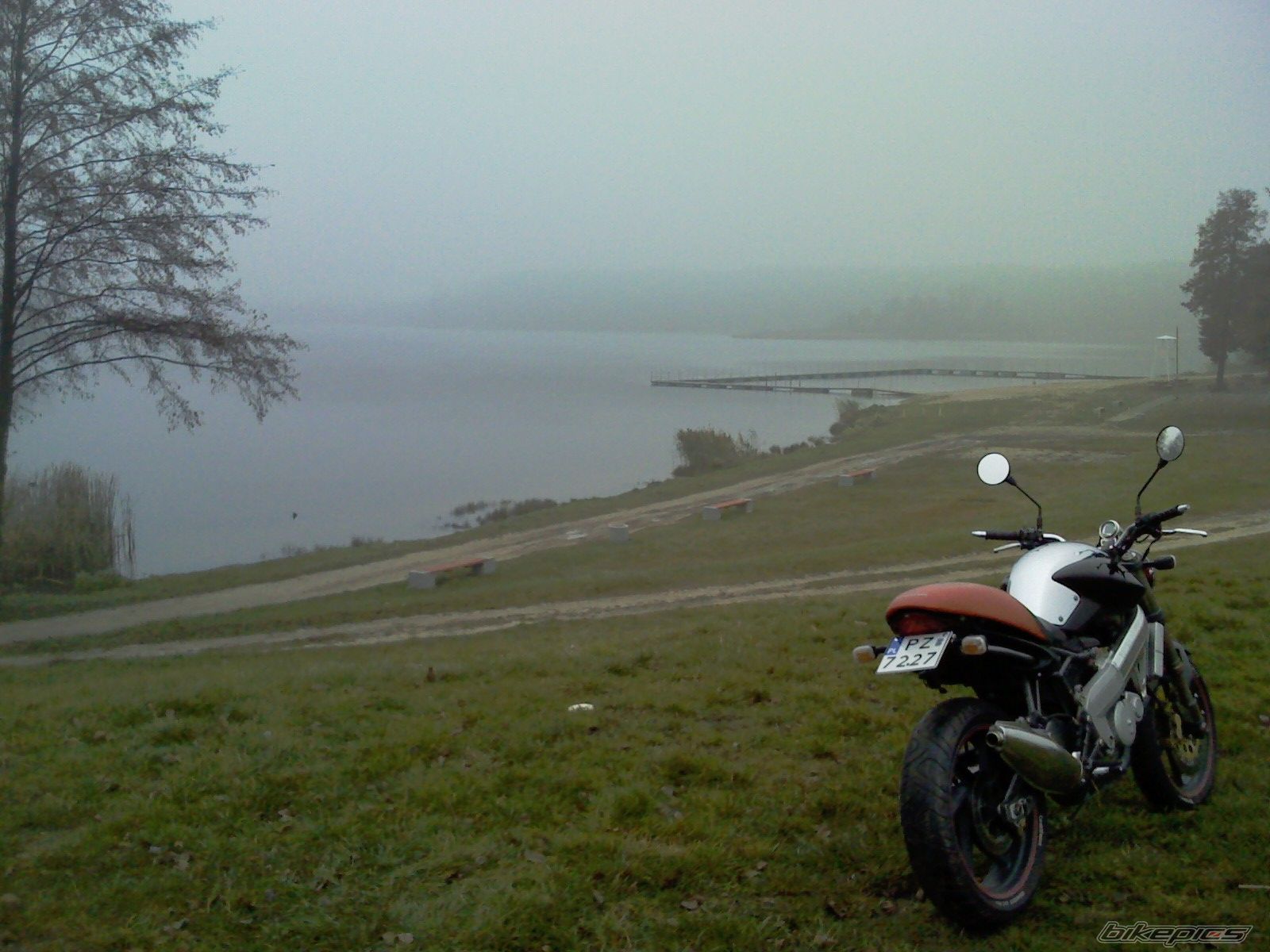 Photo 1824387