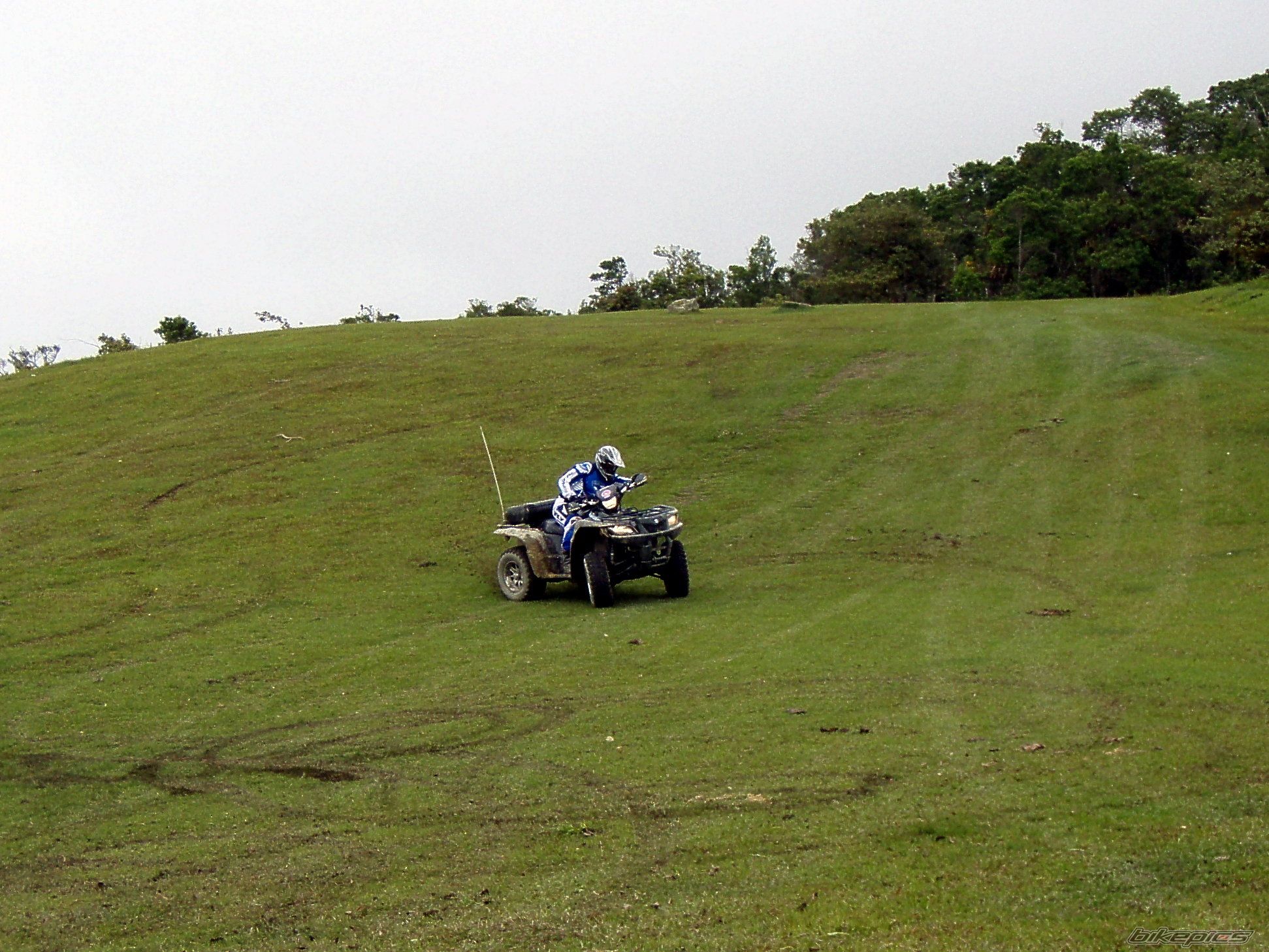 Photo 1824455