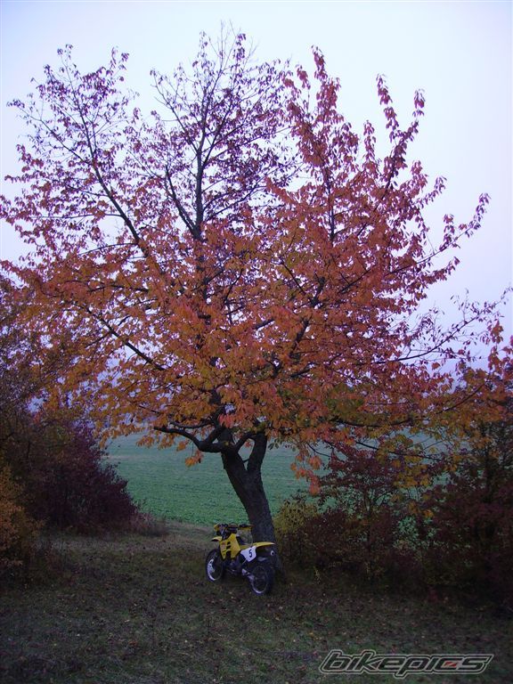 Photo 1824494