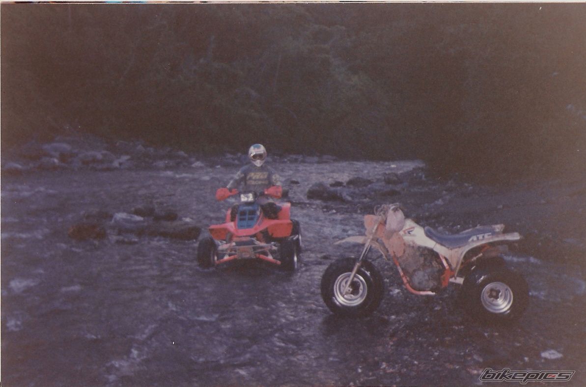 Photo 1824502