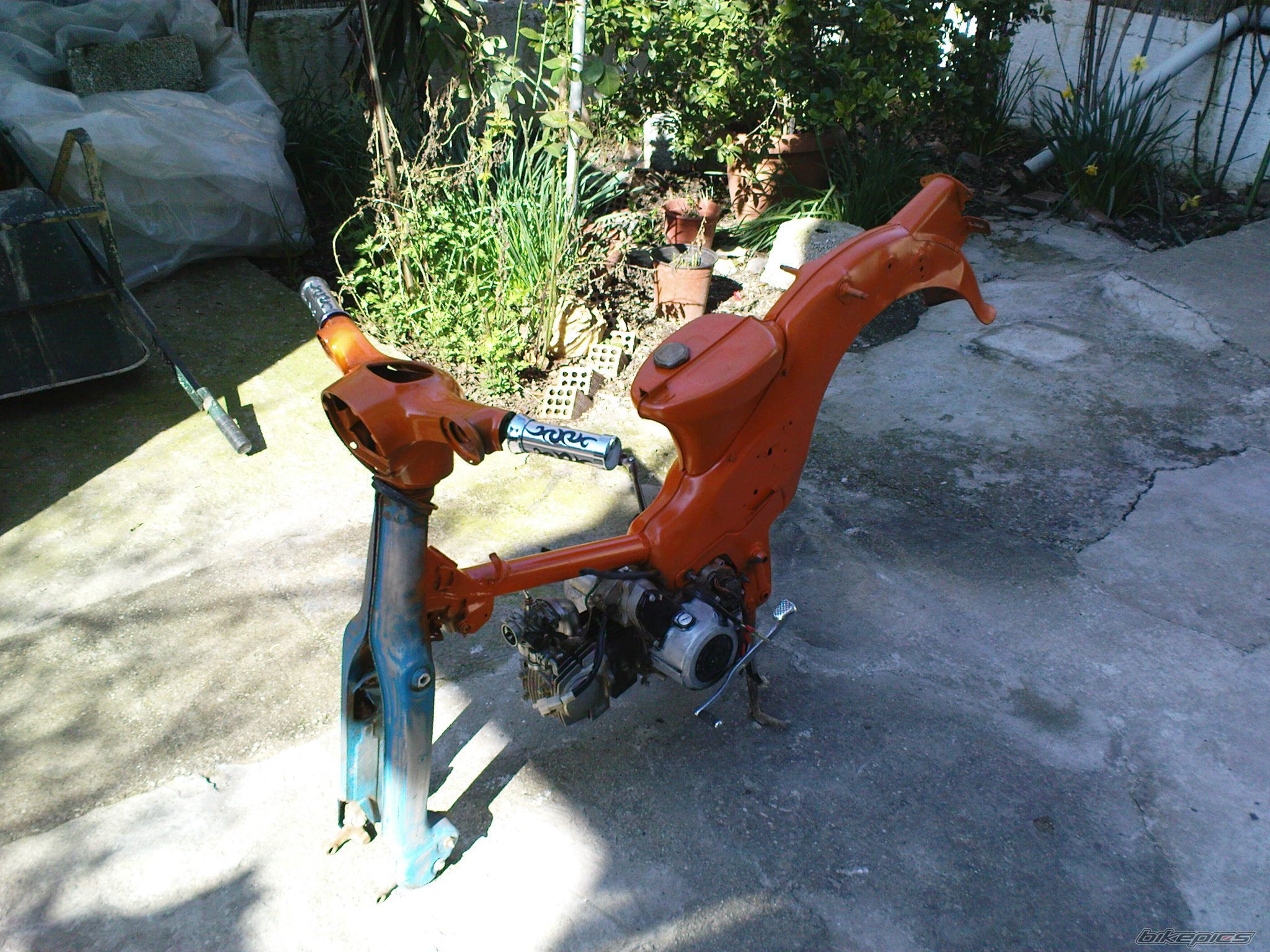 Photo 1824549