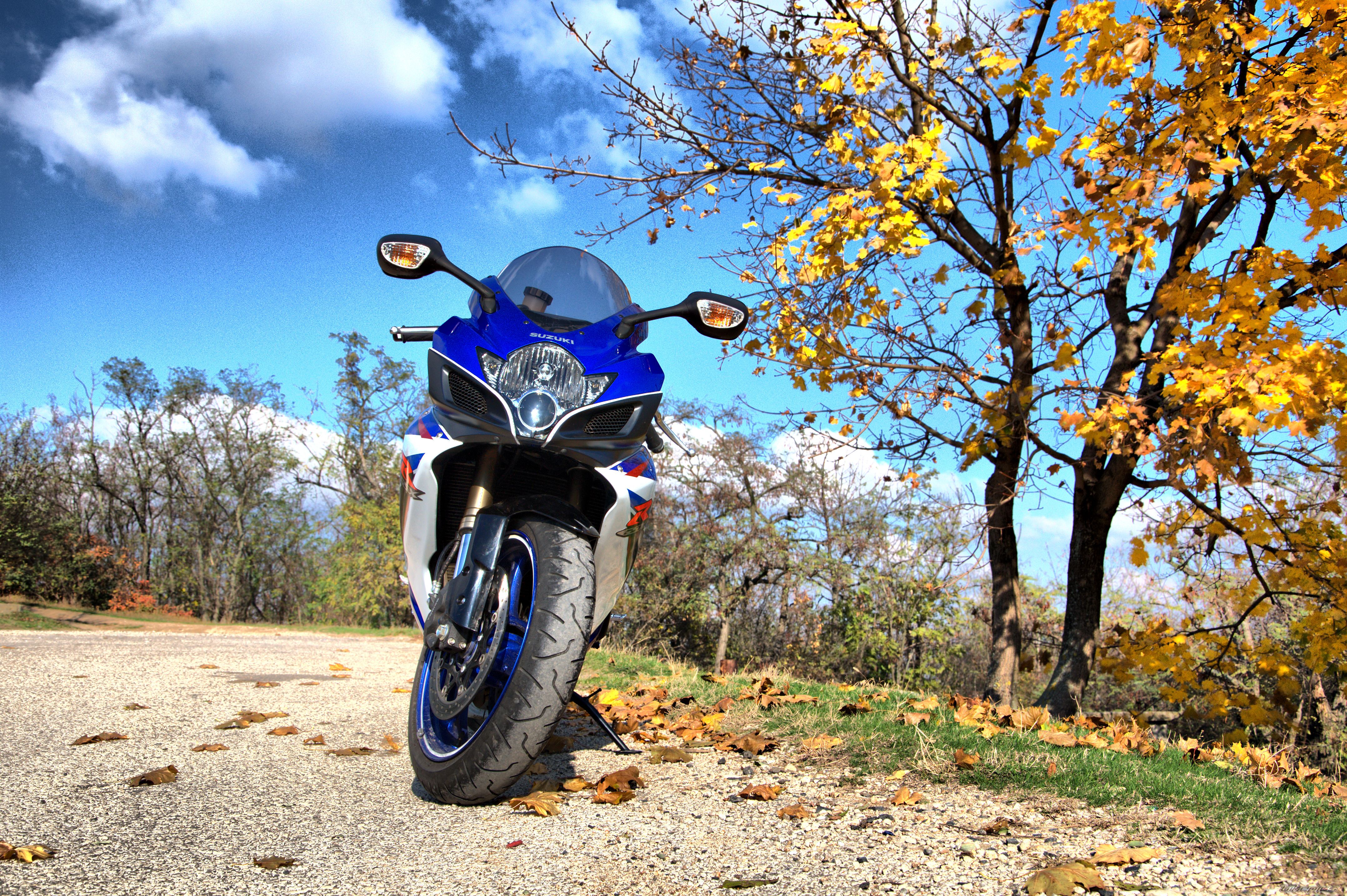 Bike Photo 1824599