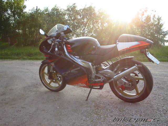 Photo 182473