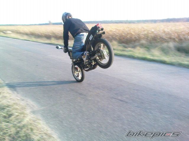 Photo 1824732