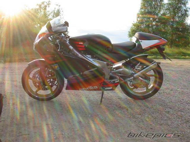 Photo 182474