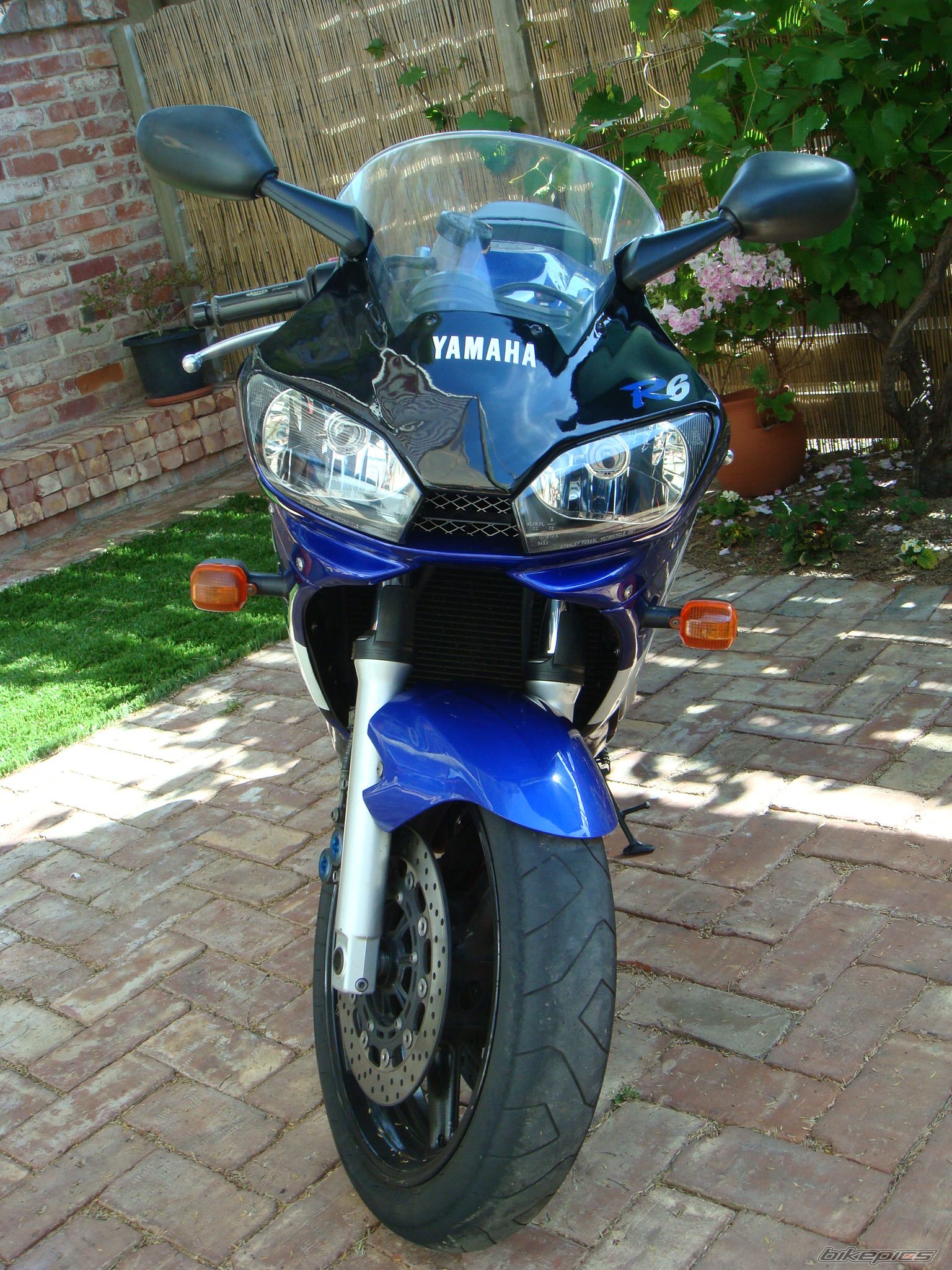Bike Photo 1824968