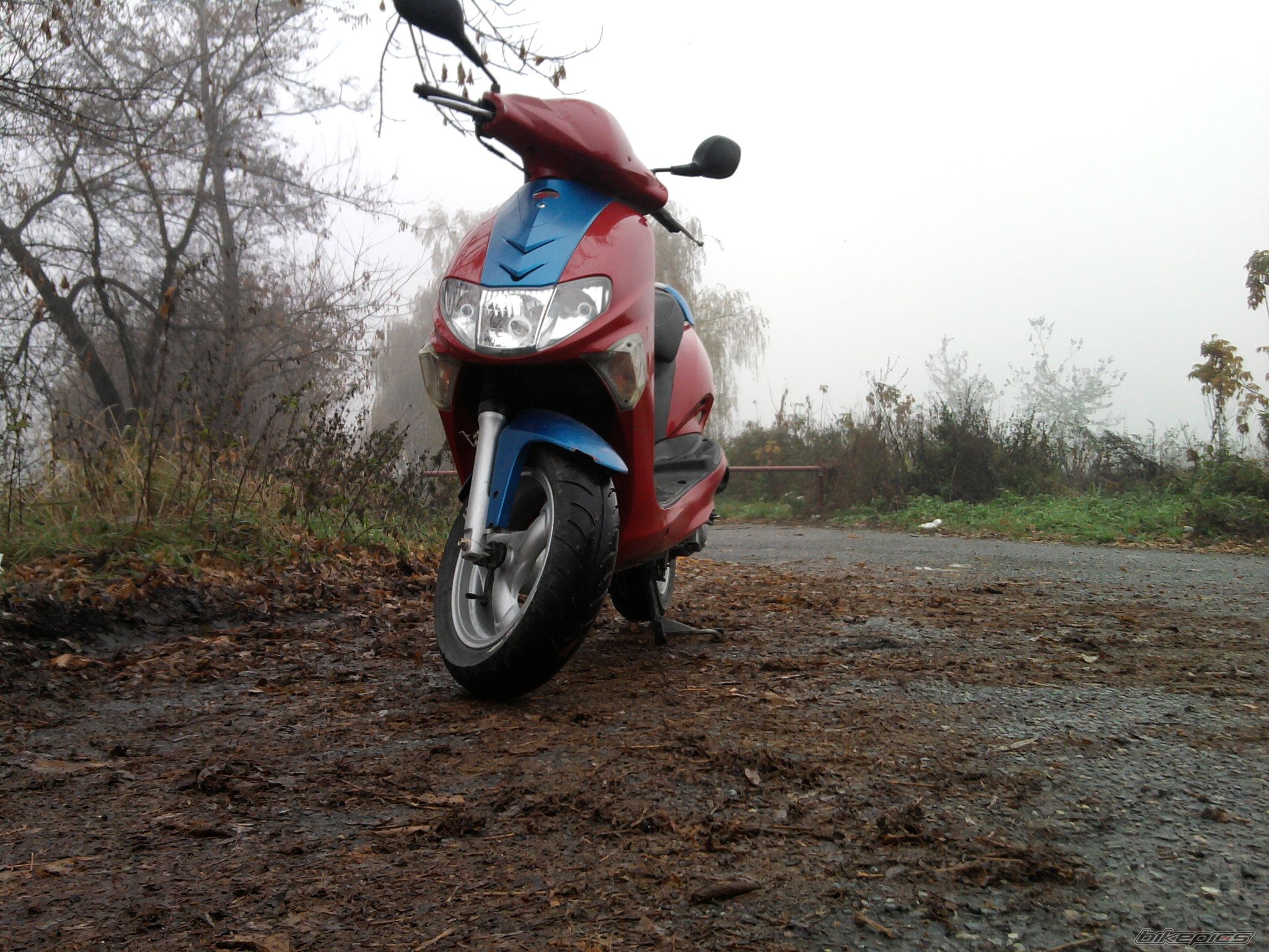 Photo 1824971
