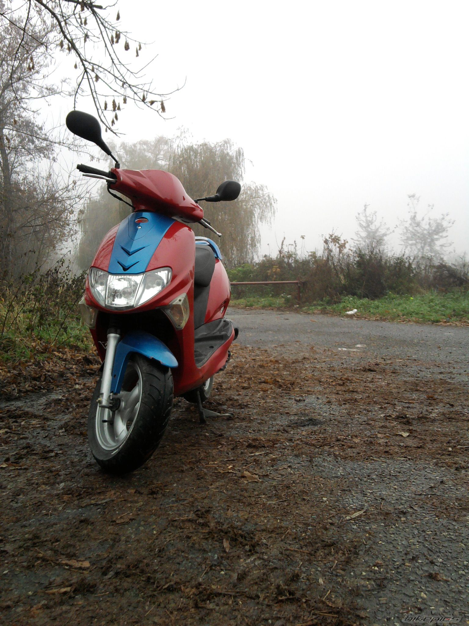 Photo 1824972