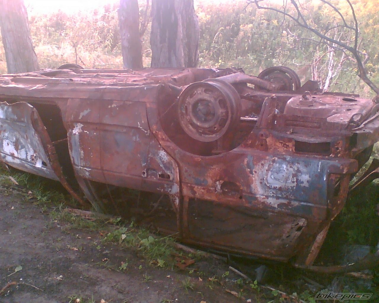 Photo 1825007