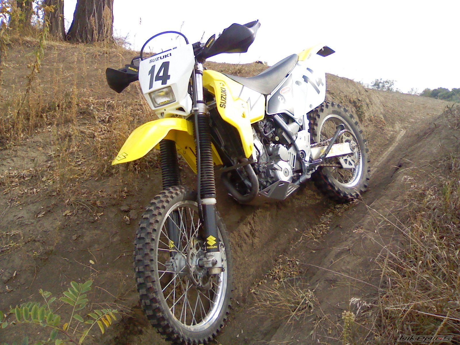 Photo 1825055