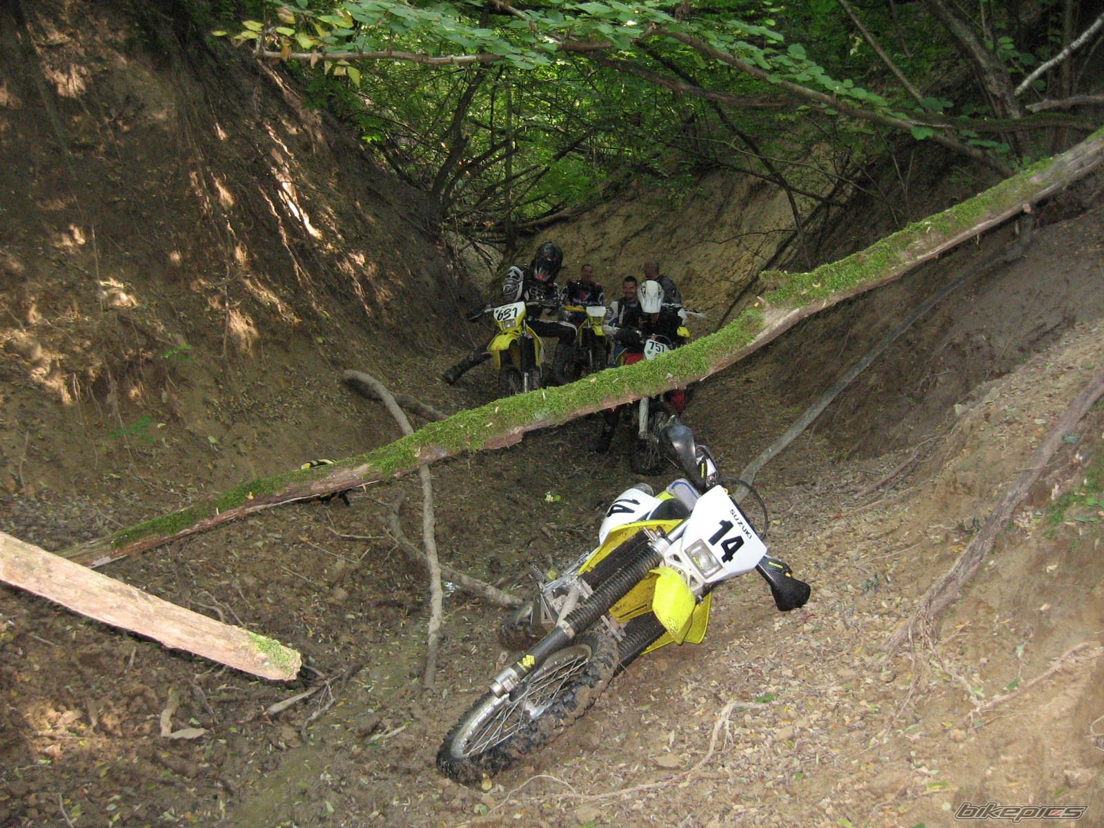 Bike Photo 1825070