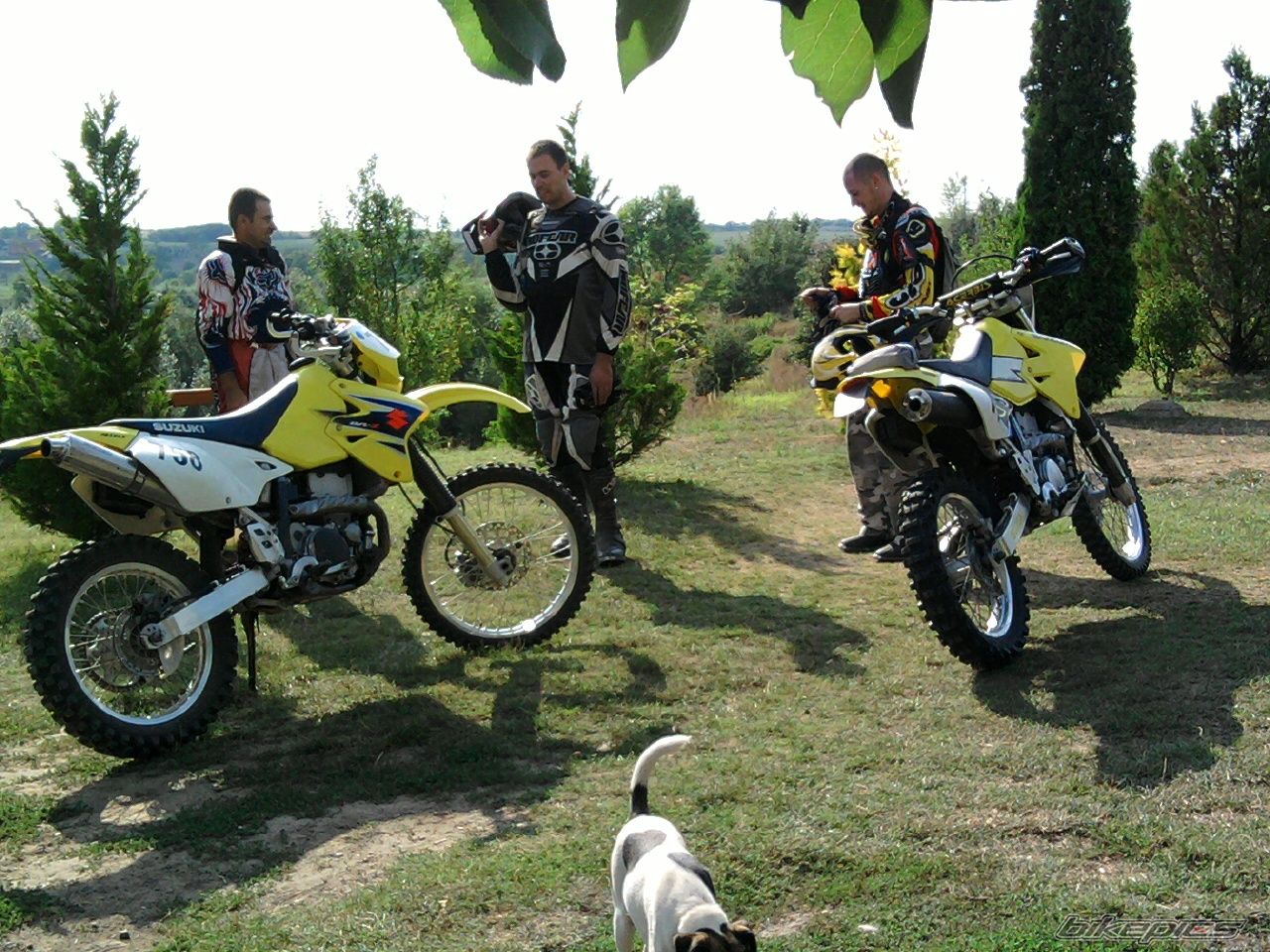 Bike Photo 1825132