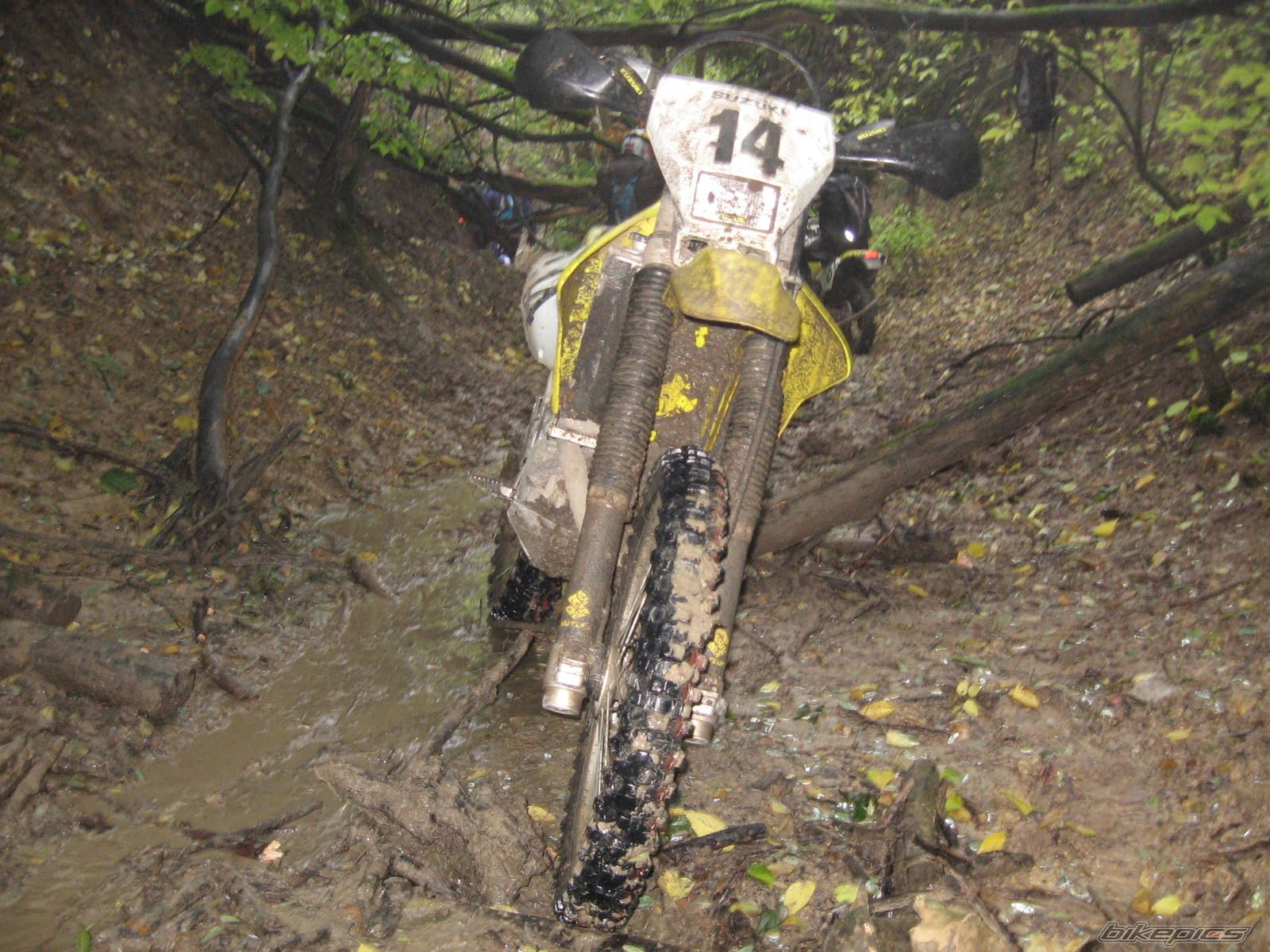 Bike Photo 1825139