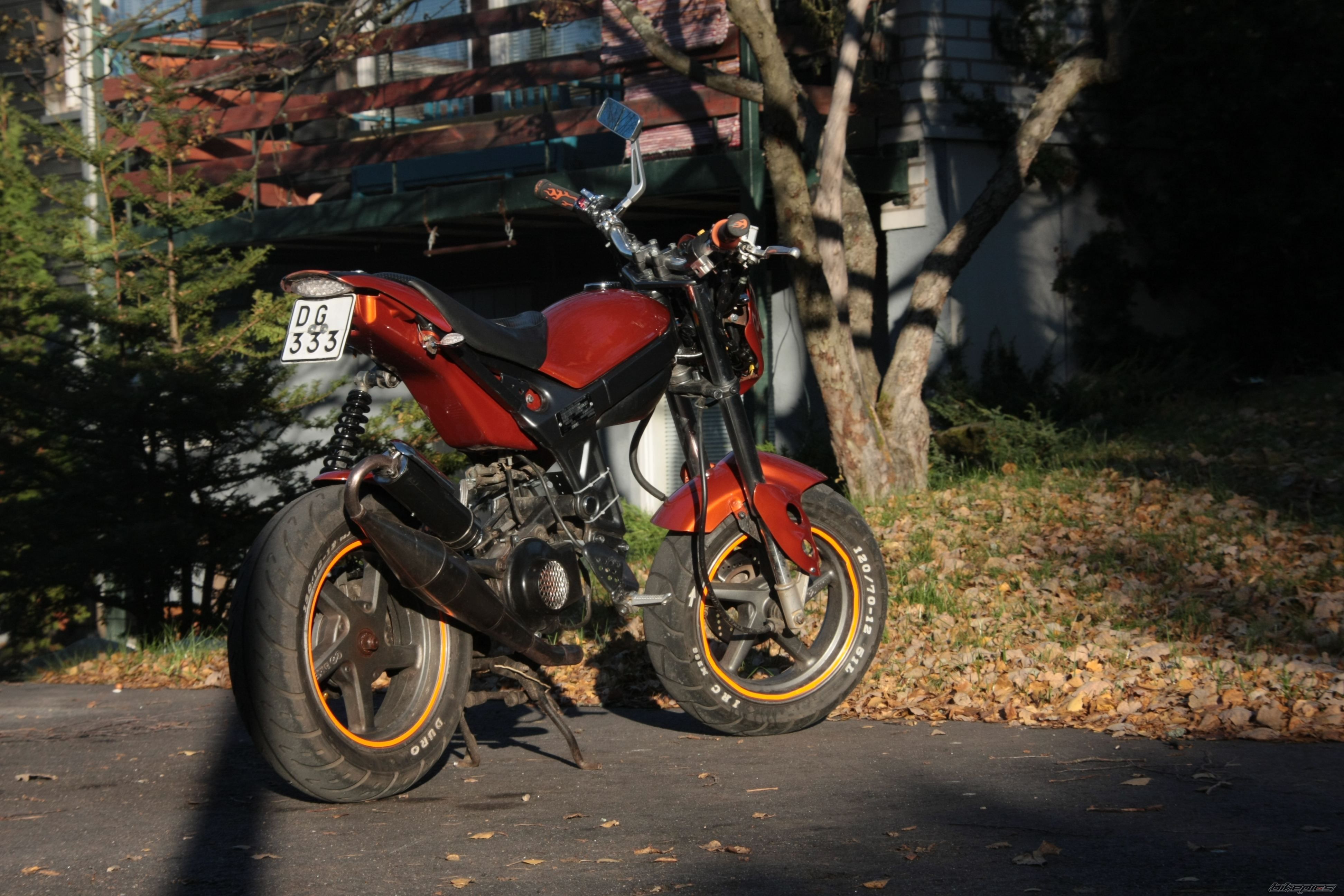 Photo 1825149