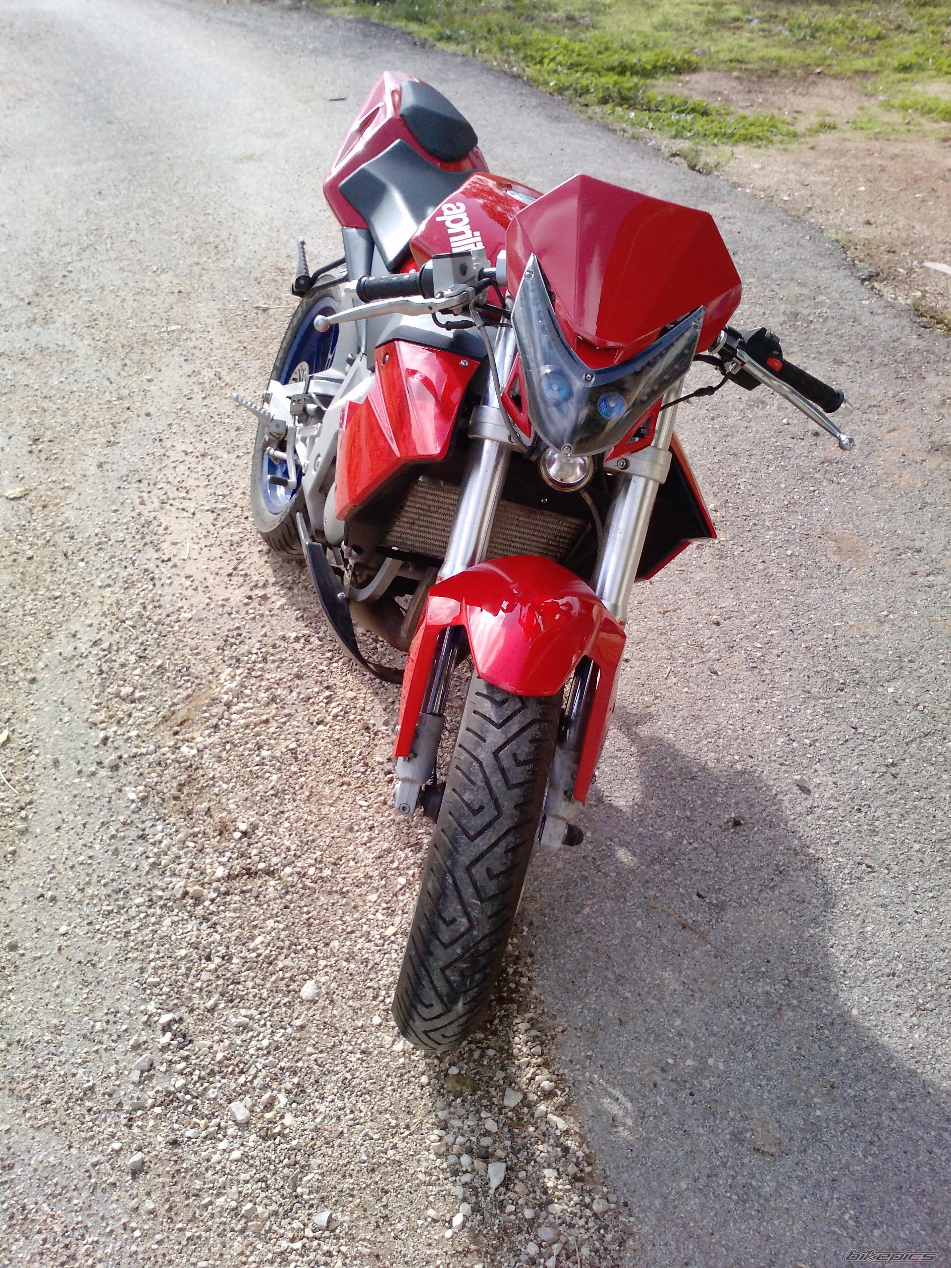 Photo 1825226