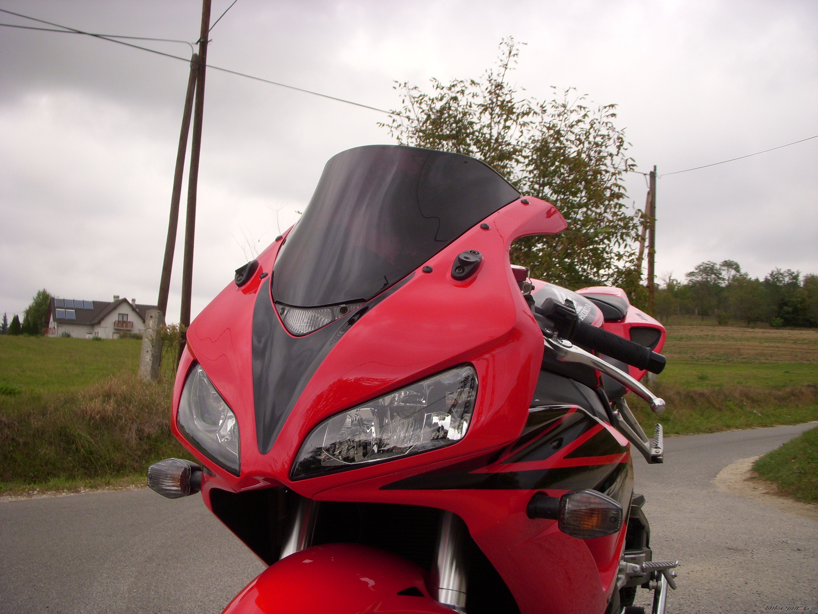 Photo 1825262