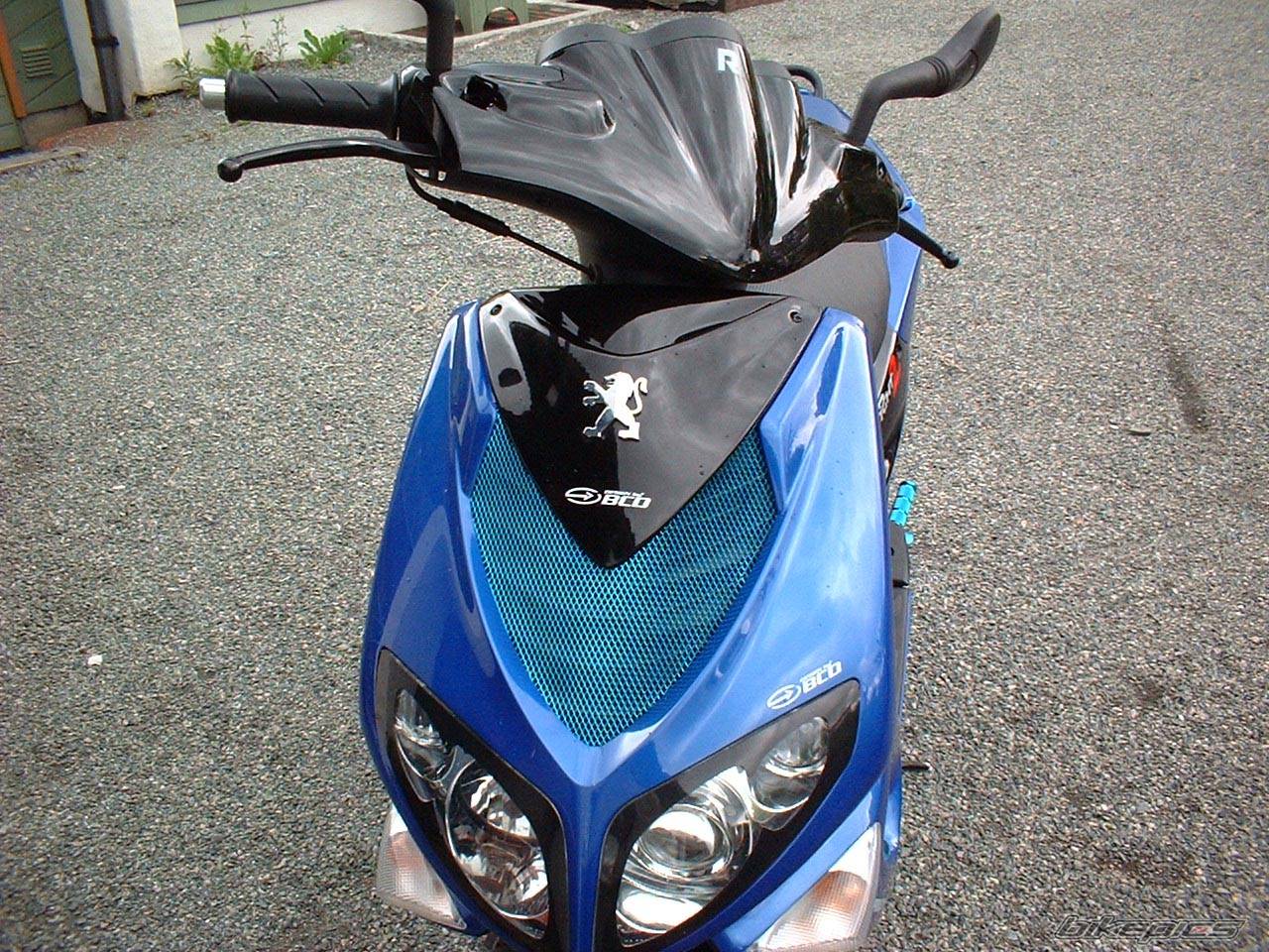 Photo 182569