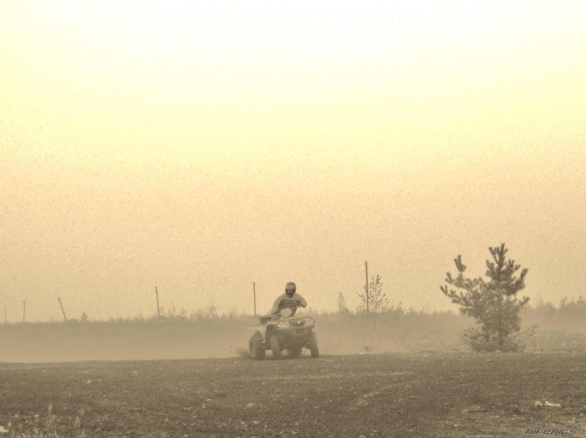 Photo 1825714
