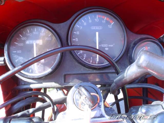 Photo 182582