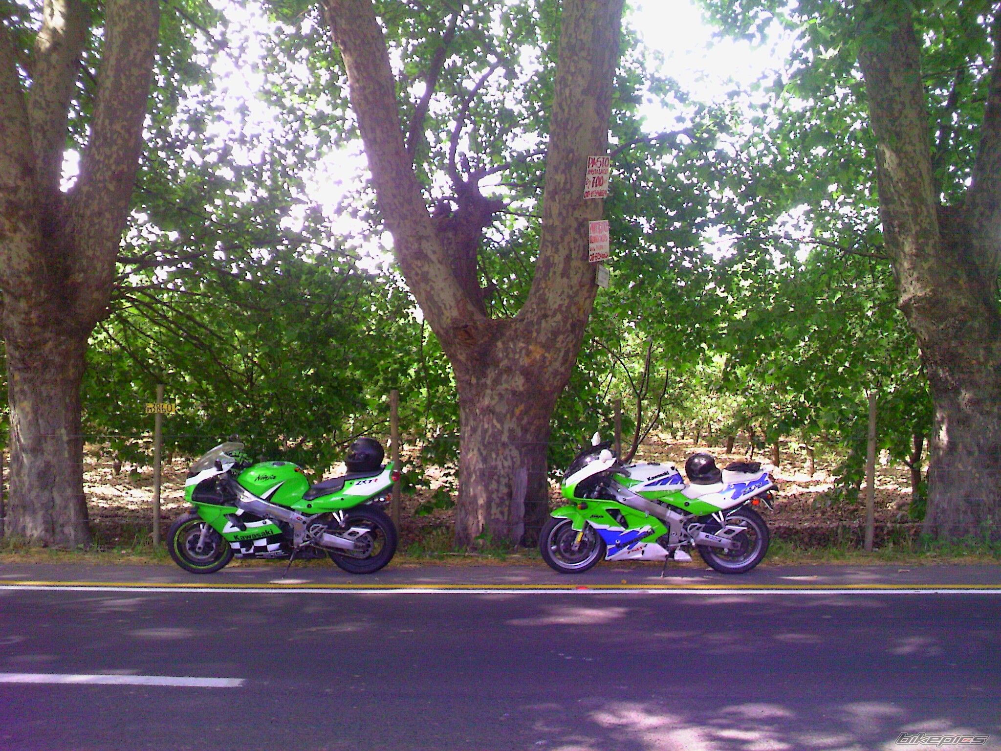 Photo 1825872
