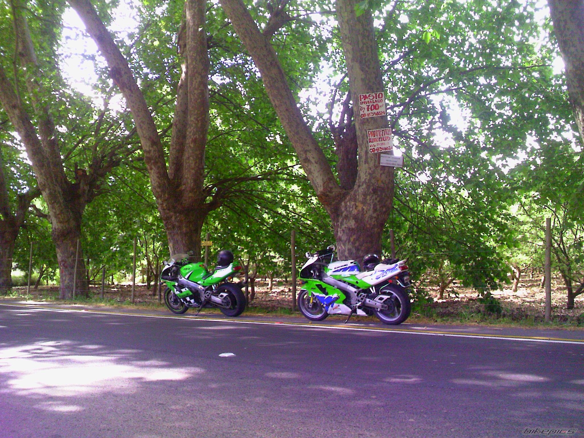 Photo 1825873