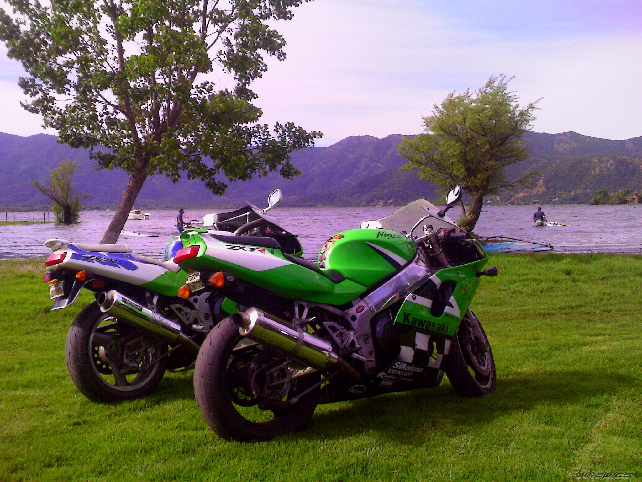 Photo 1825874