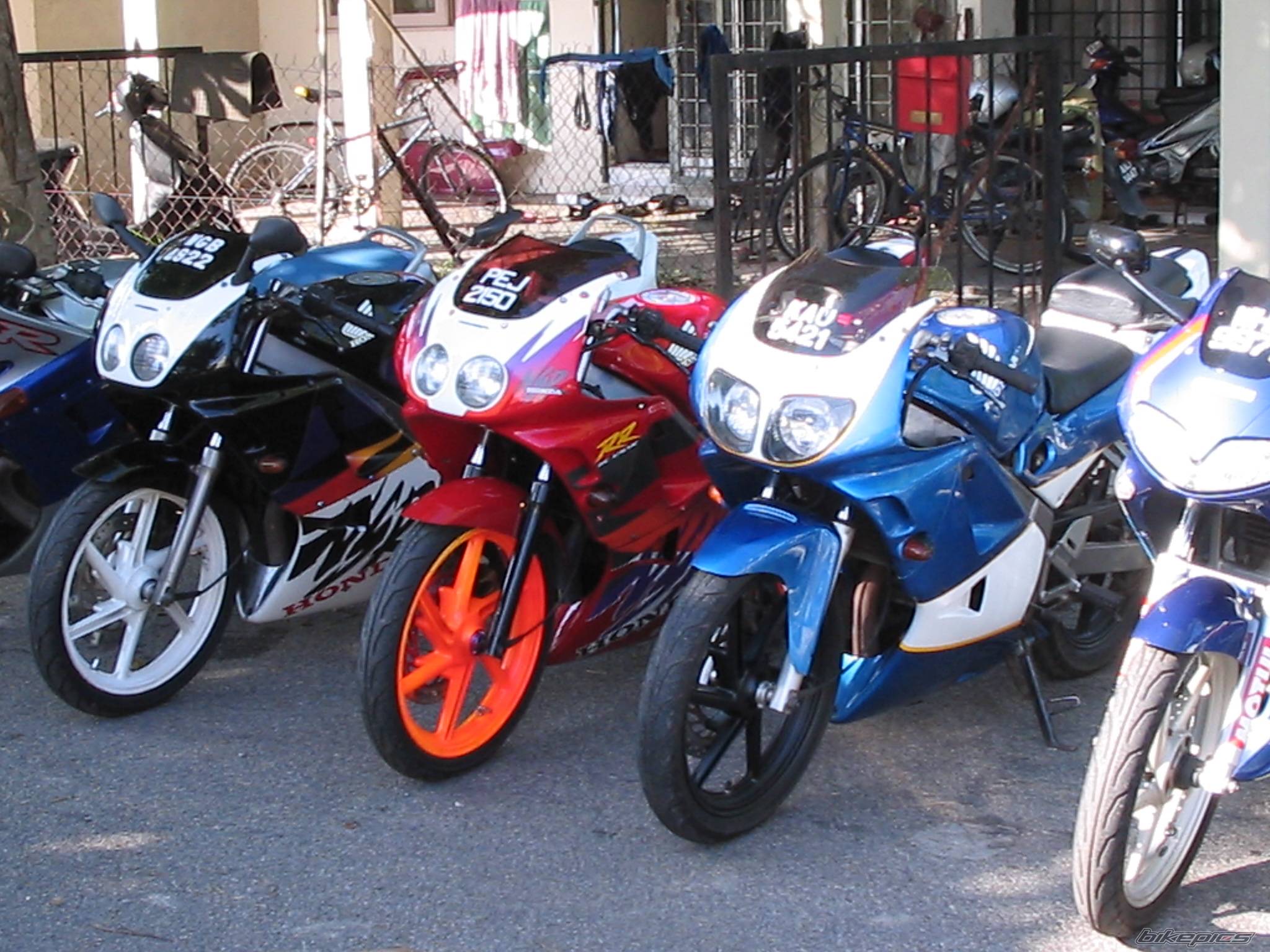 Photo 182591
