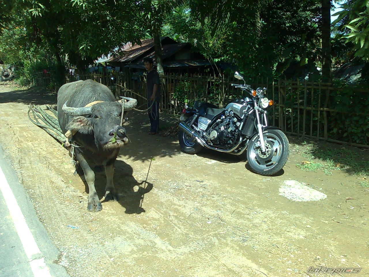 Photo 1825954