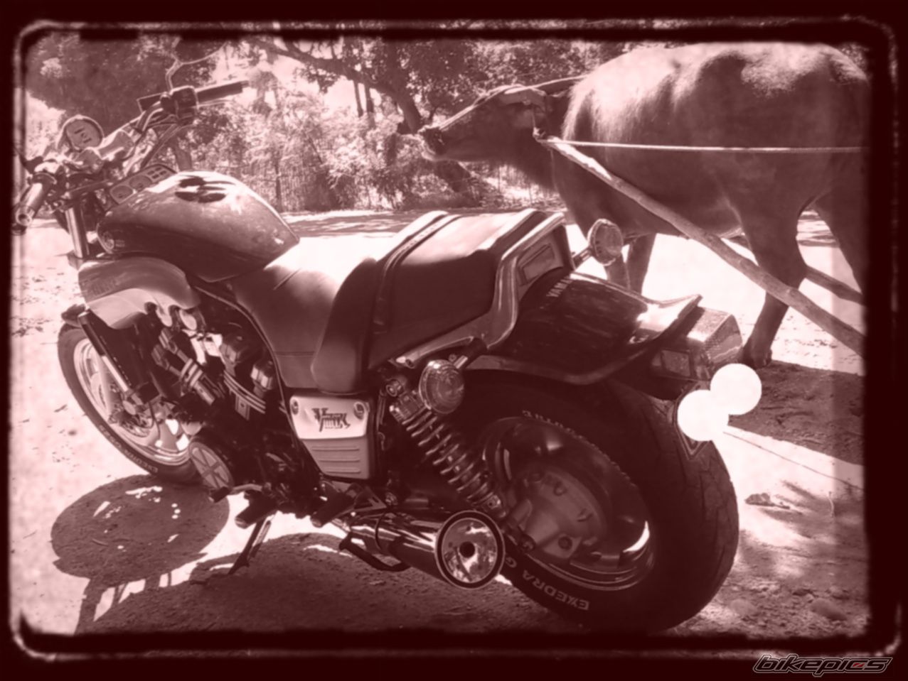 Photo 1825960