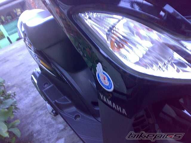 Photo 1825970