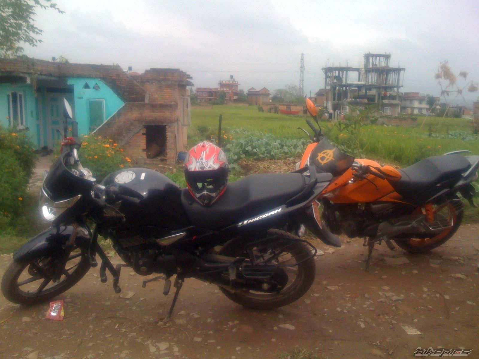 Photo 1825973