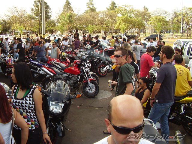 Photo 1826446
