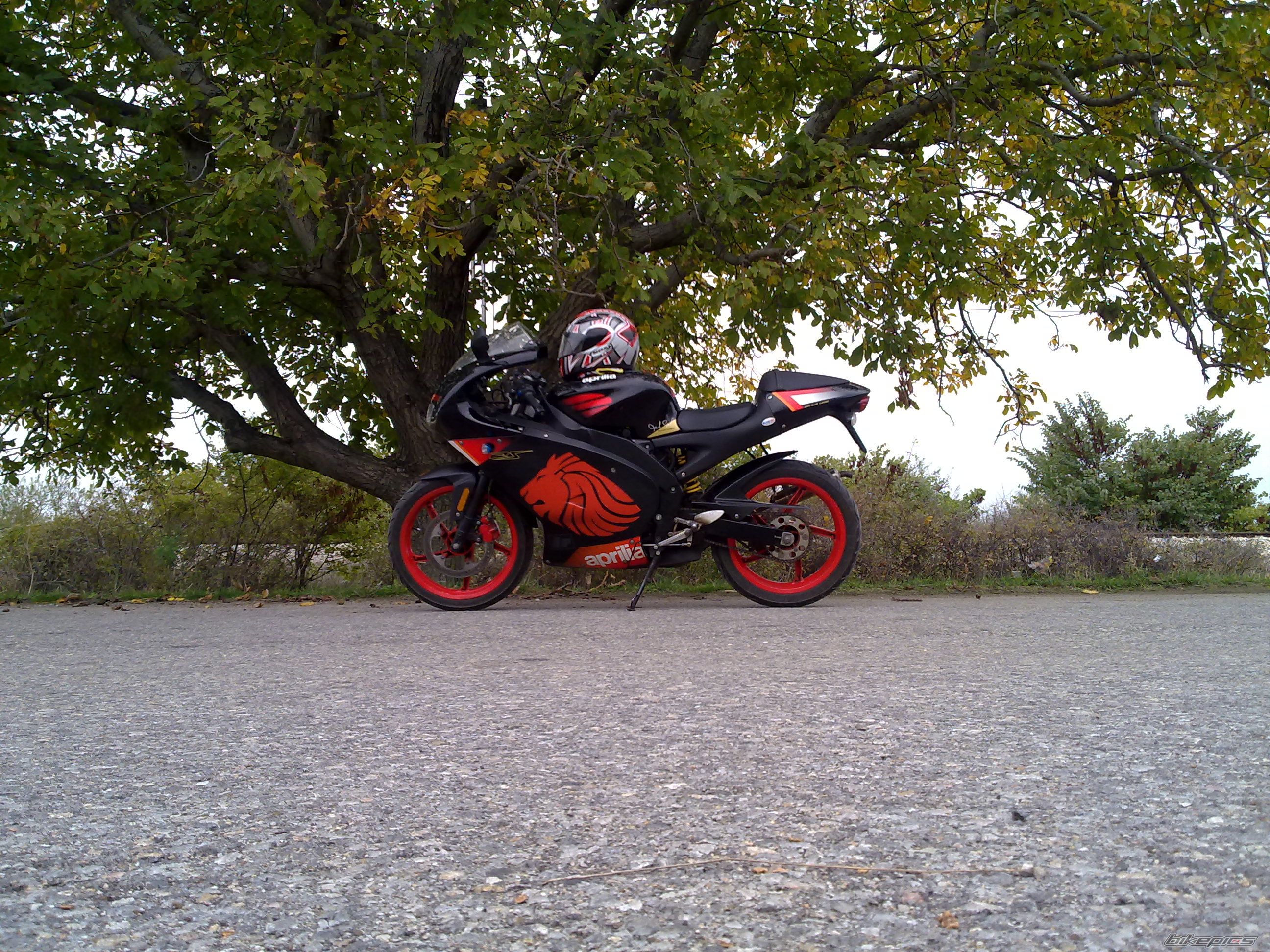 Photo 1826581