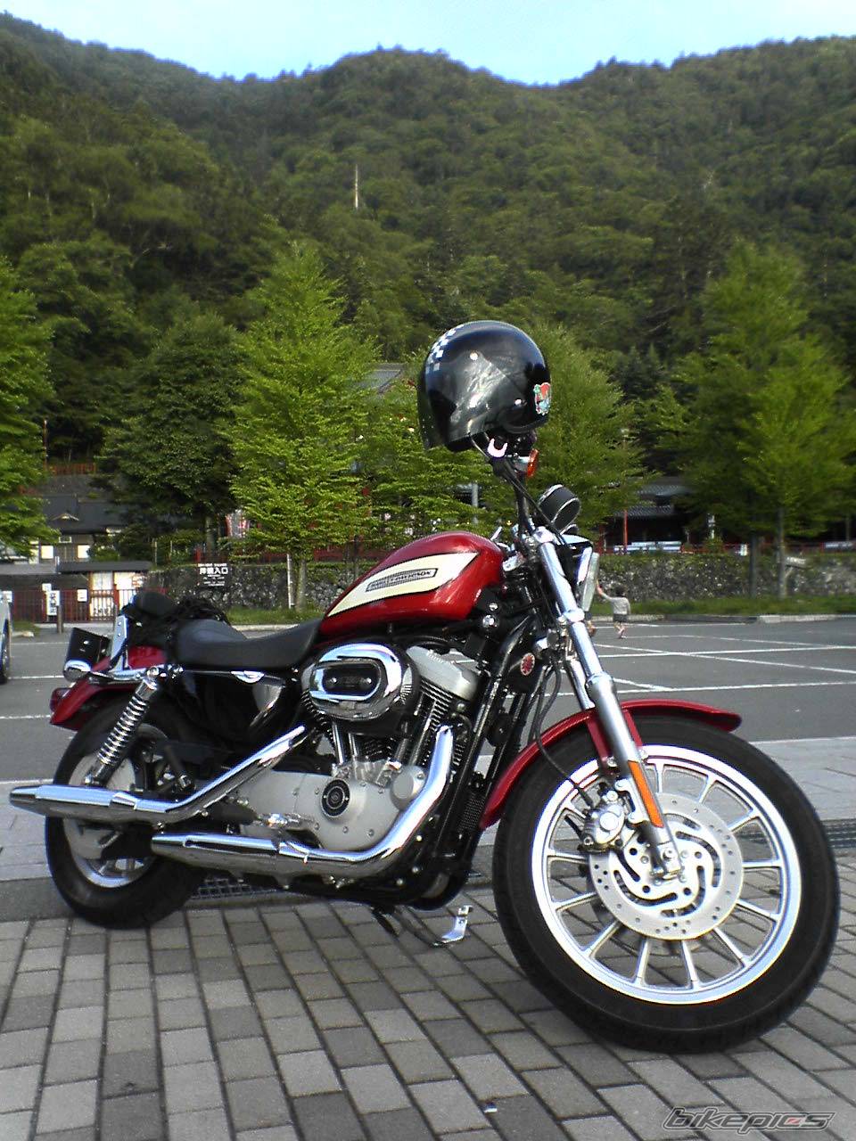 Photo 182661
