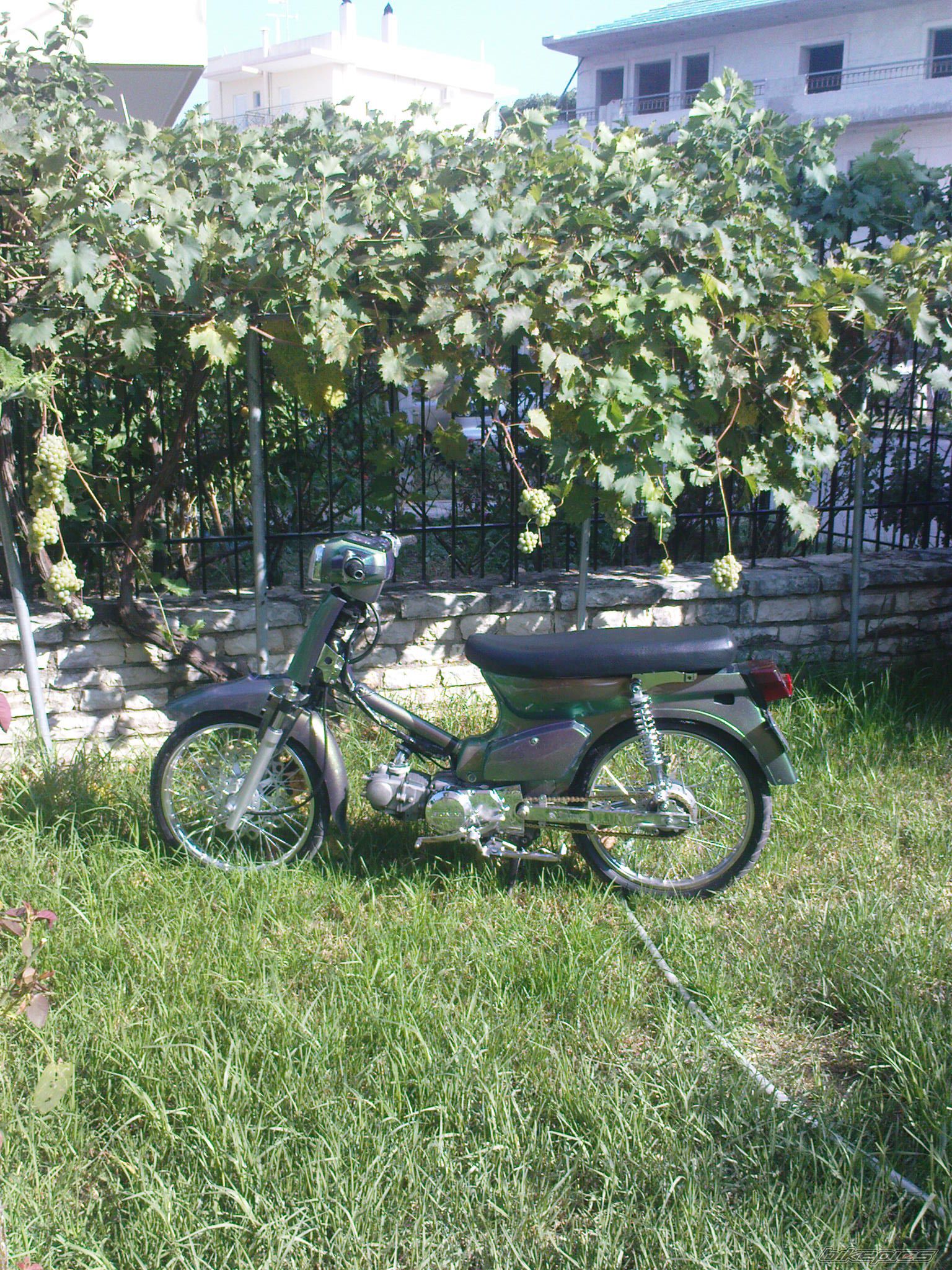 Photo 1826662