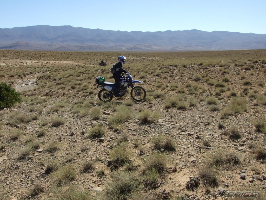 Photo 1826712