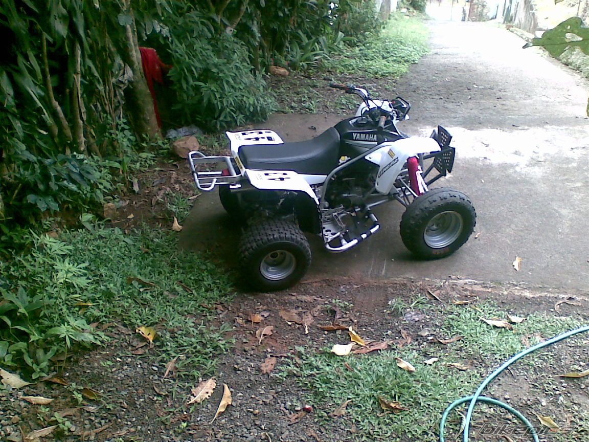 Photo 1826724