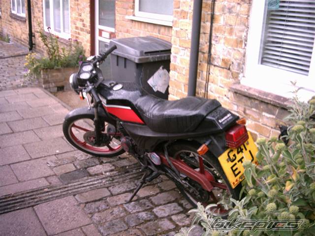 Photo 182686