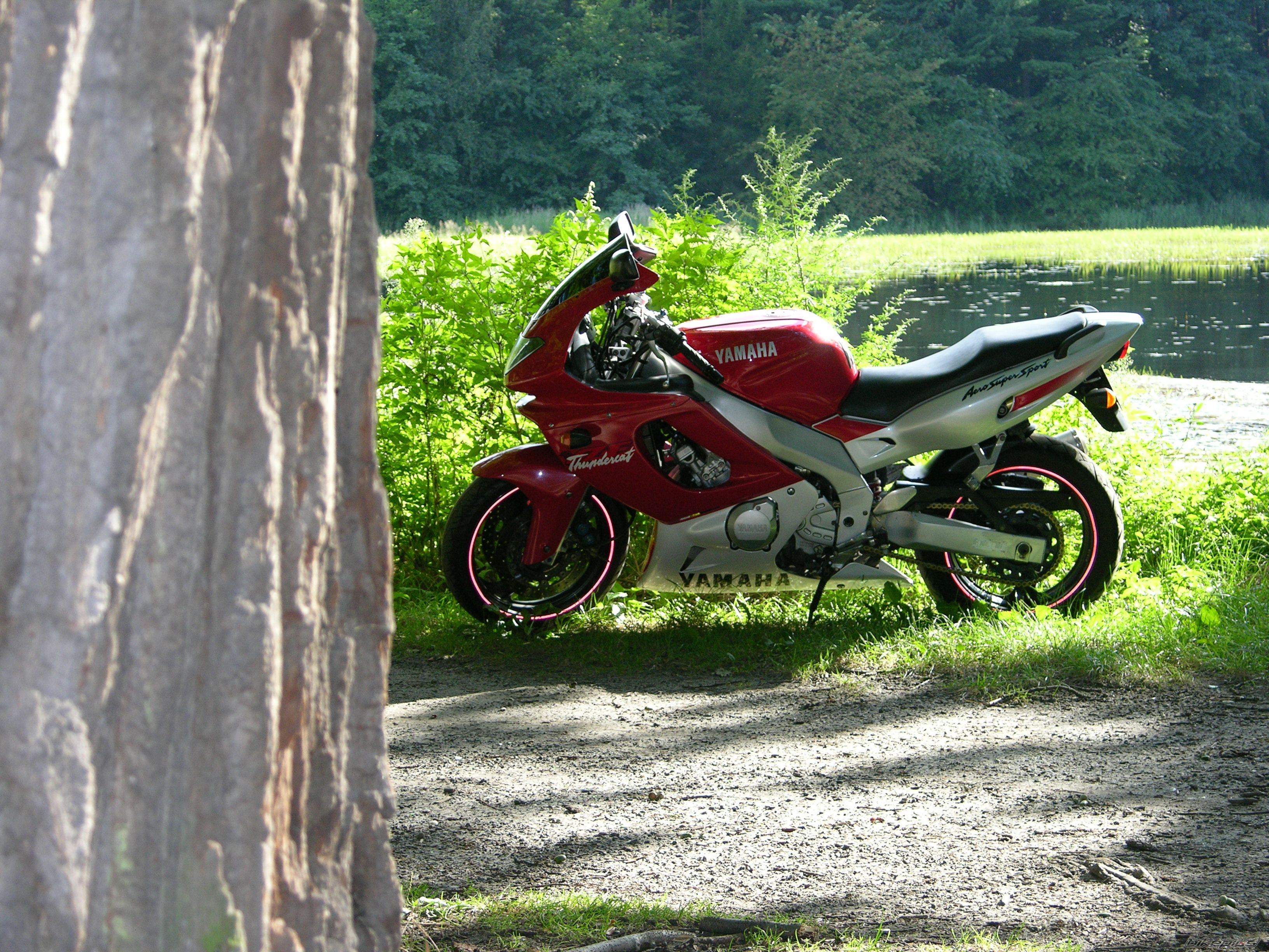 Bike Photo 1827028
