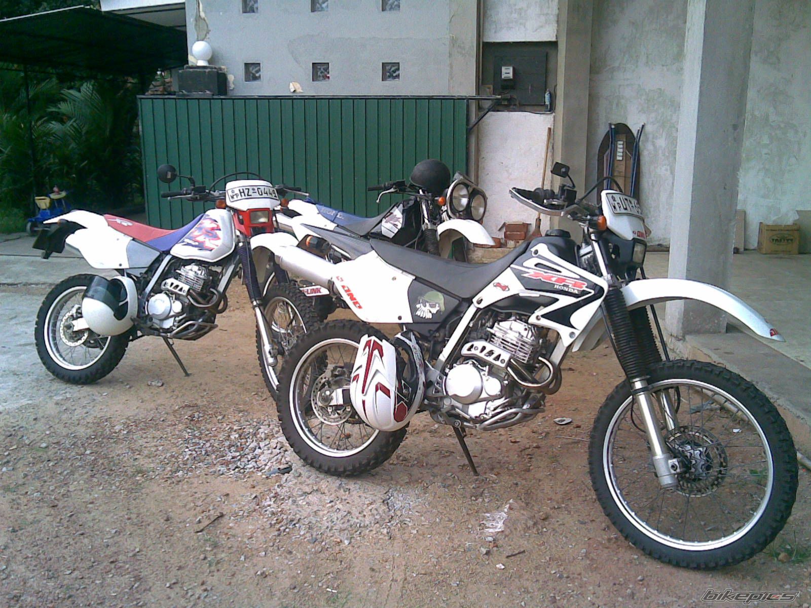 Photo 1827163