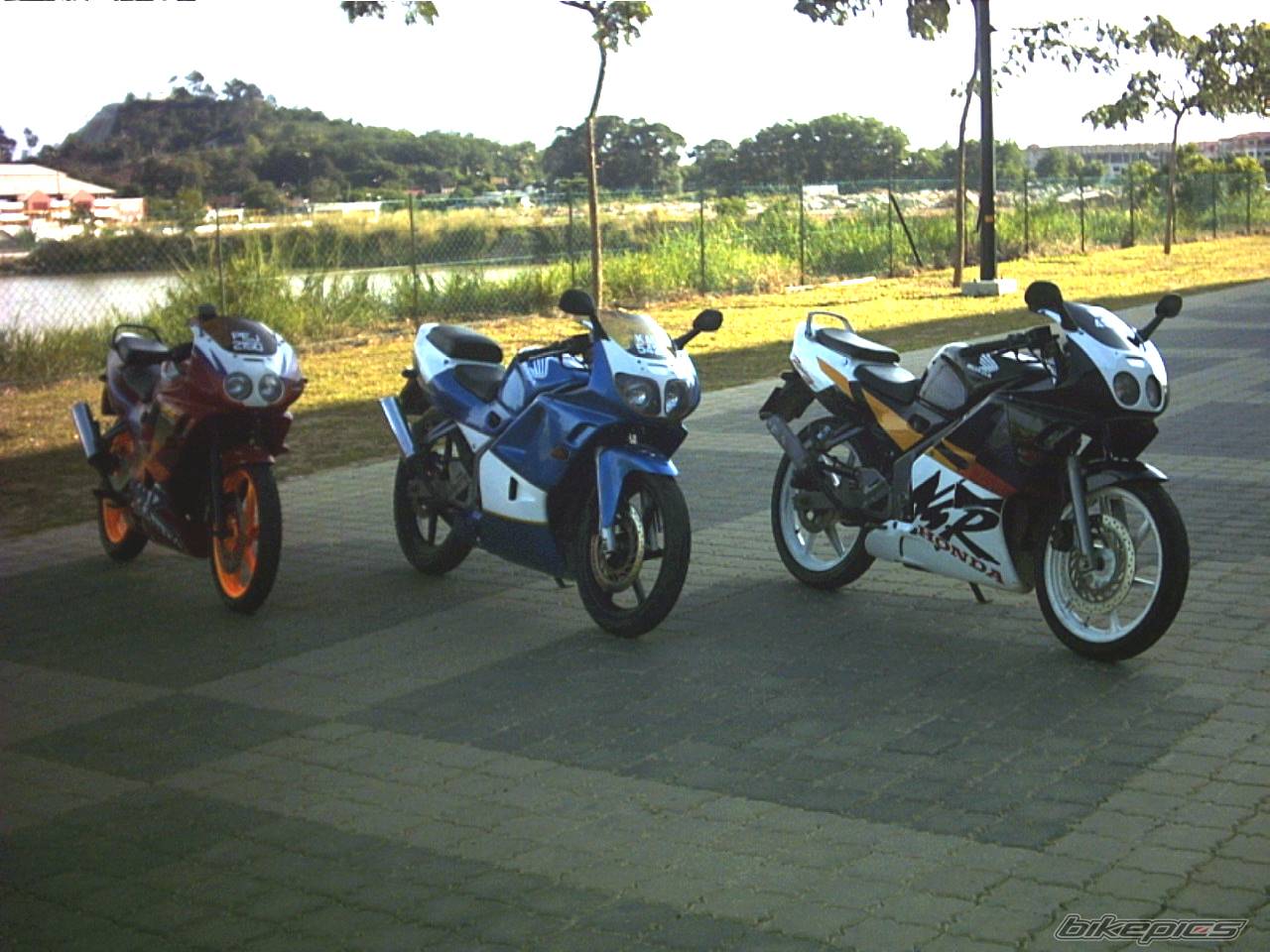 Photo 182720
