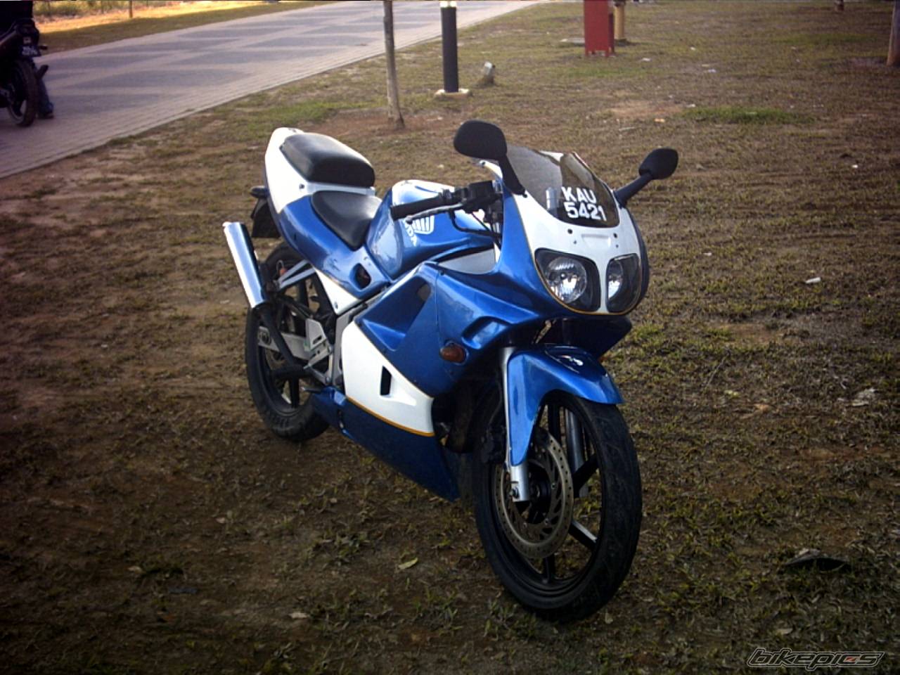 Photo 182721