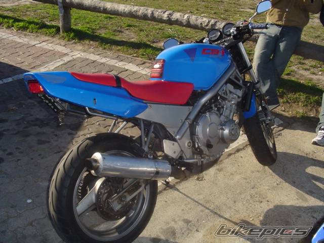 Photo 182733