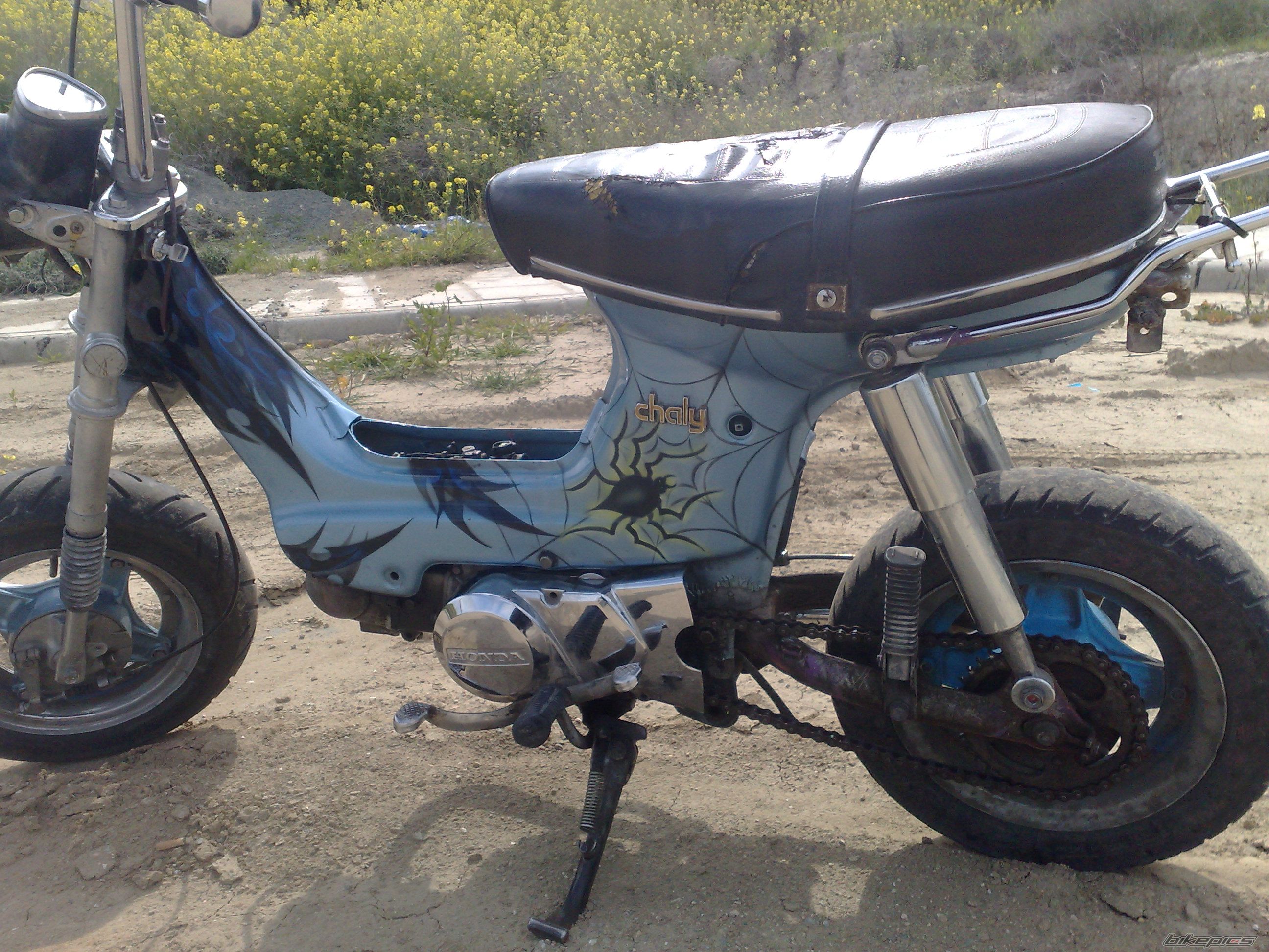 Photo 1827340