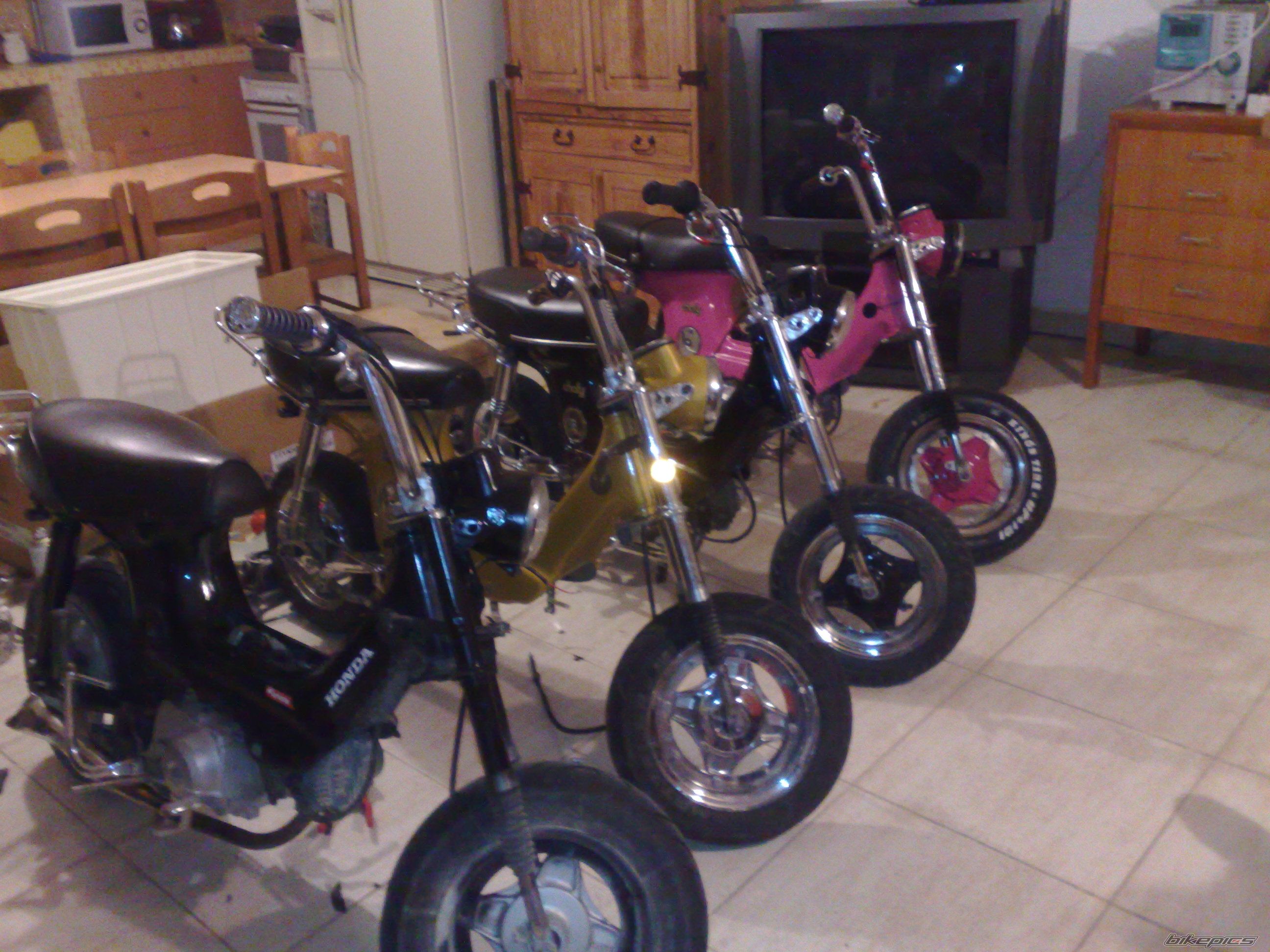 Photo 1827343