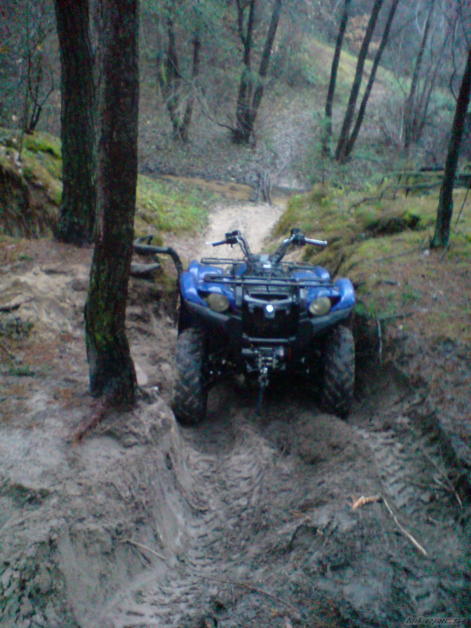 Photo 1827689