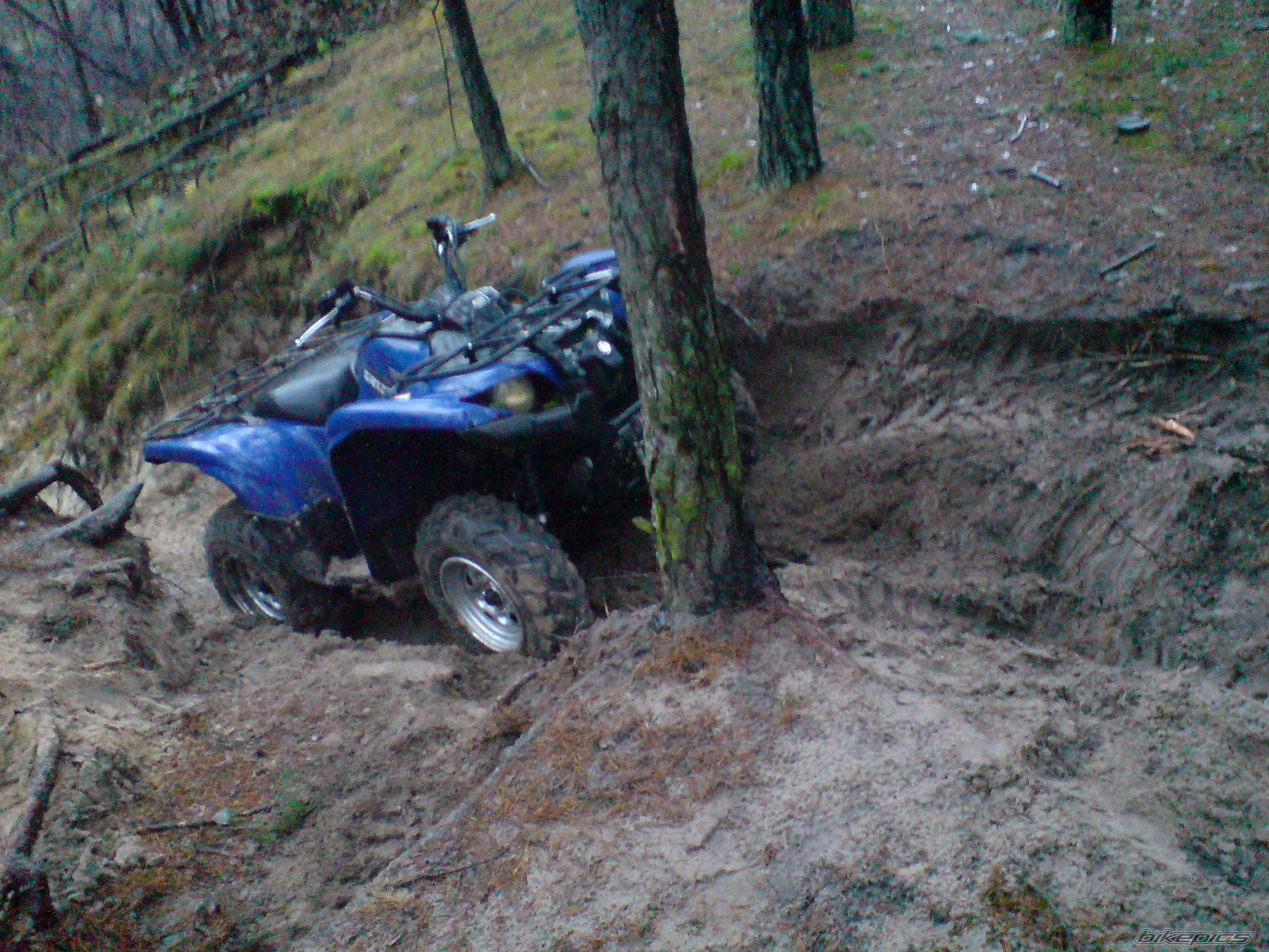 Photo 1827690